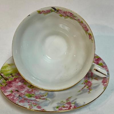 Vintage teacup and saucer, cherry blossoms