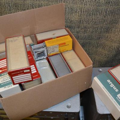 Huge Lot of Vintage Slides and Matching Metal Filing Containers