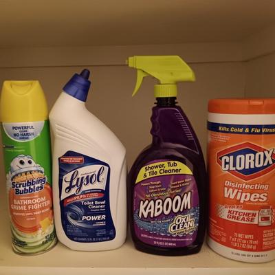 FULL Cleaning chemicals - Kaboom - Clorox wipes - Lysol toilet cleaner - and Scrubbing bubbles.