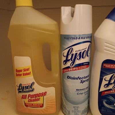 FULL Cleaning chemicals - Kaboom - Lysol lemon scent - Lysol toilet cleaner - and Lysol disinfectant spray