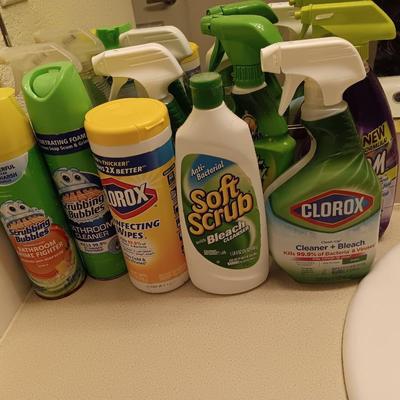 Variety of Partial bottles of cleaning chemicals