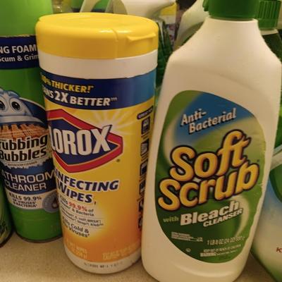 Variety of Partial bottles of cleaning chemicals