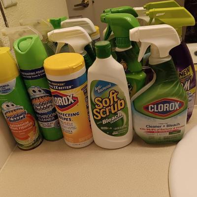 Variety of Partial bottles of cleaning chemicals