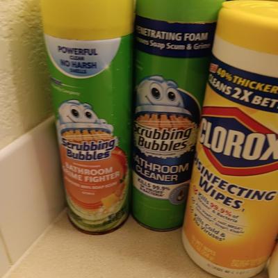 Variety of Partial bottles of cleaning chemicals