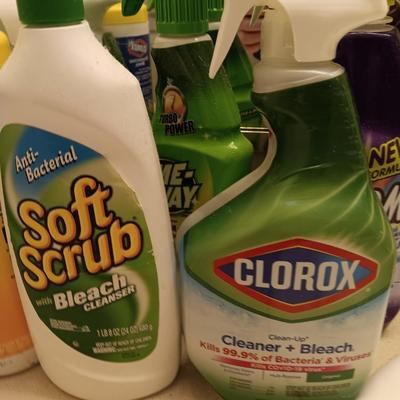 Variety of Partial bottles of cleaning chemicals