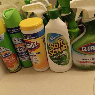 Variety of Partial bottles of cleaning chemicals