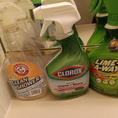 Variety of Partial bottles of cleaning chemicals