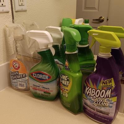 Variety of Partial bottles of cleaning chemicals