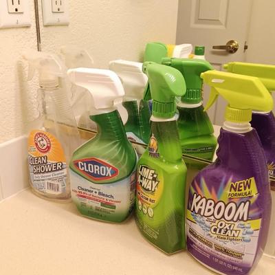 Variety of Partial bottles of cleaning chemicals