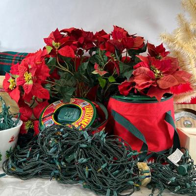 Christmas in February