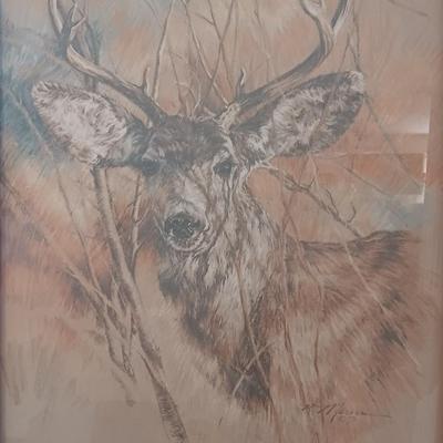 Framed Buck -deer Litho Art Signed K Maroon 1978