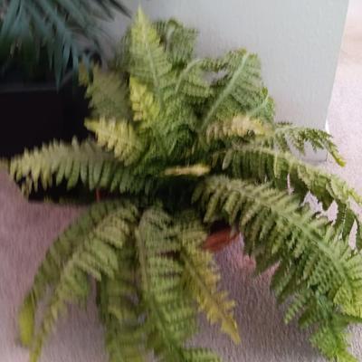 Two faux plants - Fern in basket and Palm in metal pot with light weight flowerpot