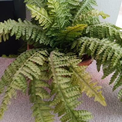 Two faux plants - Fern in basket and Palm in metal pot with light weight flowerpot