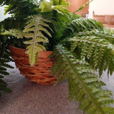 Two faux plants - Fern in basket and Palm in metal pot with light weight flowerpot