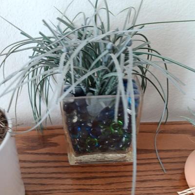 Live Crassula Cactus, with two faux houseplants