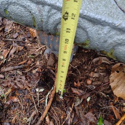Concrete Garden Sitting Bench