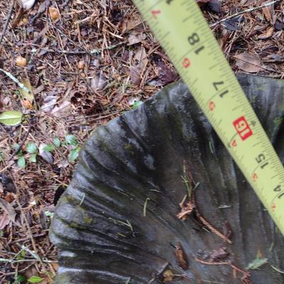 Heavy Resin Bird Bath with Frog Accent Goose Creek