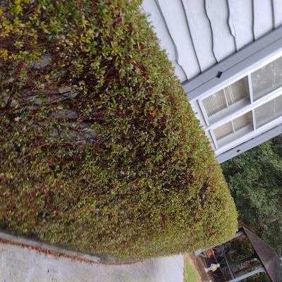 Cast Metal Garden Sundial on Pedestal