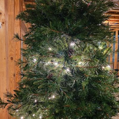 Large Christmas Tree & More (B-JS)