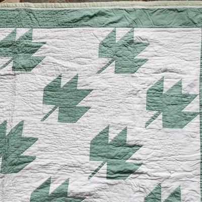 Vintage Tulip Pattern Quilt