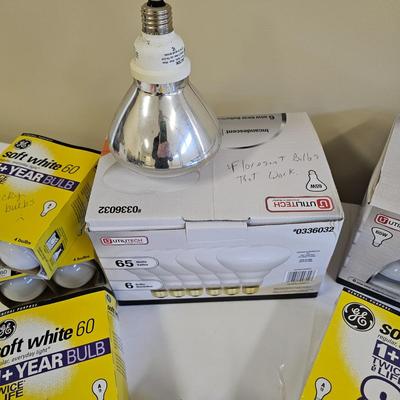 Light Bulb Assortment (L-JS)