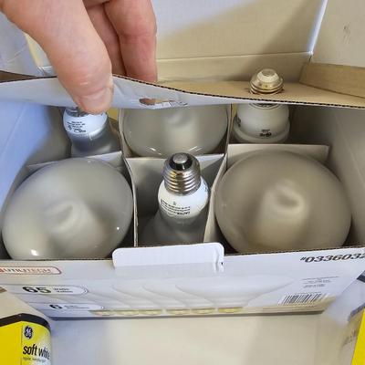 Light Bulb Assortment (L-JS)