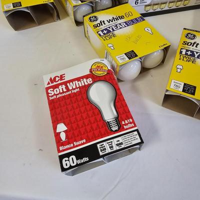 Light Bulb Assortment (L-JS)