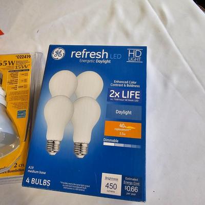 Light Bulb Assortment (L-JS)