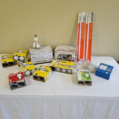 Light Bulb Assortment (L-JS)