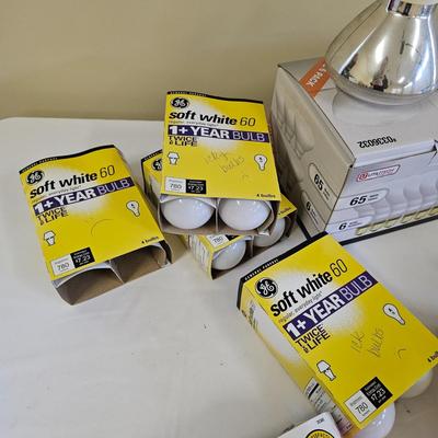 Light Bulb Assortment (L-JS)