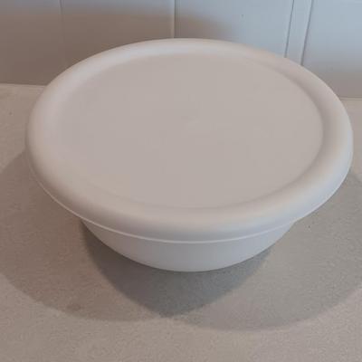 Sterilite Nesting food storage containers with lids