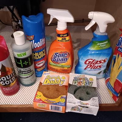 Full bottles of cleaning chemicals and two Scrub Daddy scrubbers