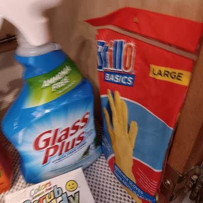 Full bottles of cleaning chemicals and two Scrub Daddy scrubbers