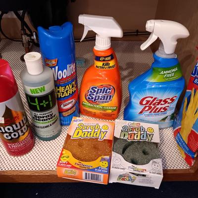 Full bottles of cleaning chemicals and two Scrub Daddy scrubbers