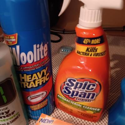 Full bottles of cleaning chemicals and two Scrub Daddy scrubbers