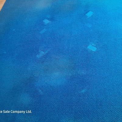 Large blue area rug with matching runner and a floral kitchen rug