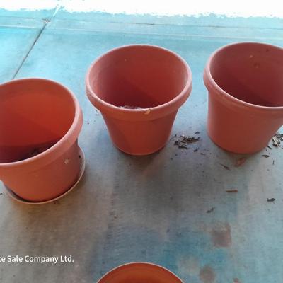 Collection of plastic flowerpots