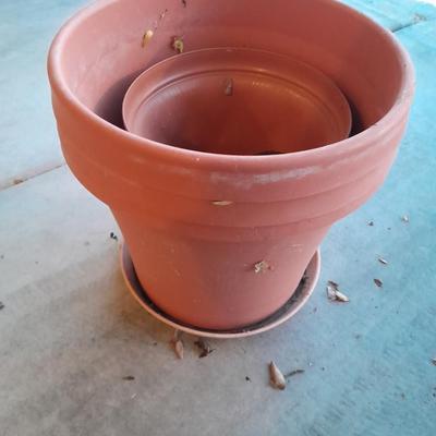 Collection of plastic flowerpots