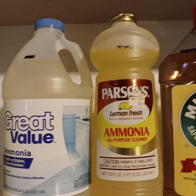 New cleaning chemicals - Pine Sol - Ammonia - Murphy oil soap