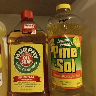 New cleaning chemicals - Pine Sol - Ammonia - Murphy oil soap