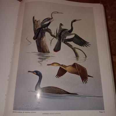 Hardback Pictural checklist of Colorado Birds Alfred M. Balley with two bird feeders