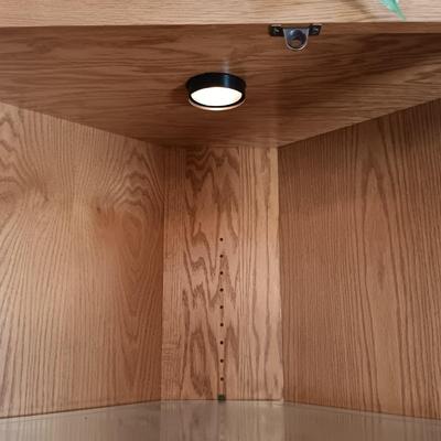 LOT 43K: Oak Furniture Warehouse Lighted Display Cabinet