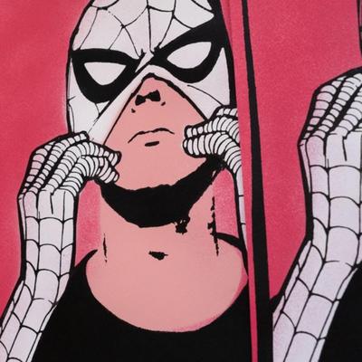 COPYRIGHT - SPIDER ANDY - WHITE SUIT EDITION