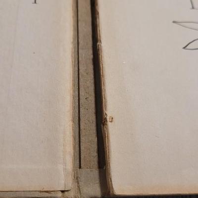 Antique 1917 Book 'Peter Rabbit and His Ma'