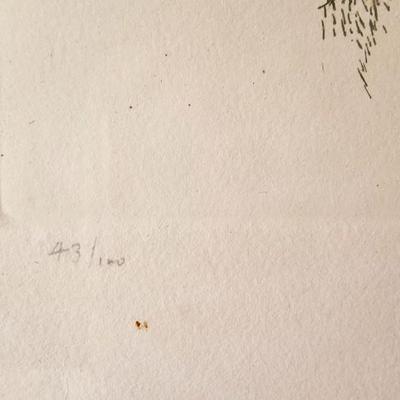 Signed and numbered Baskin print 1966 A bouquet of Wild Grasses