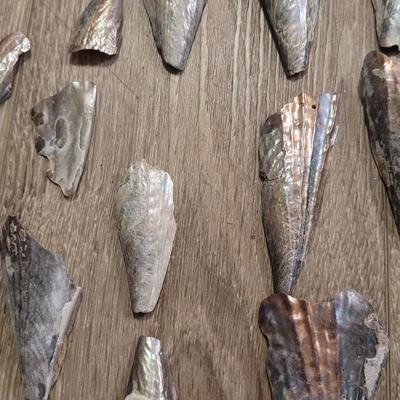 Pinnidale "Pen" Shell Collection