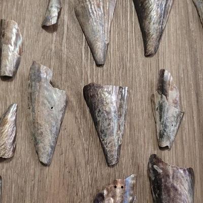 Pinnidale "Pen" Shell Collection