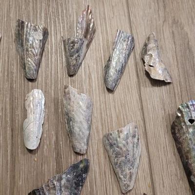 Pinnidale "Pen" Shell Collection
