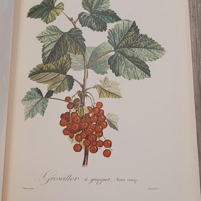Rare "Fruits" Book