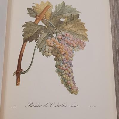 Rare "Fruits" Book